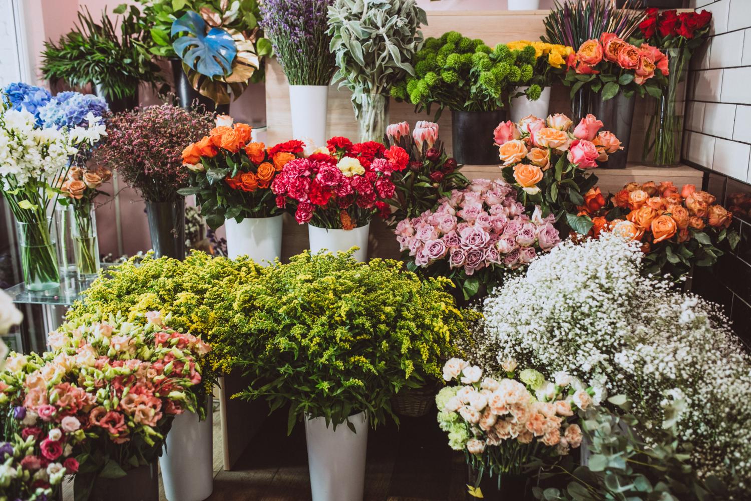Fresh Flower for you image